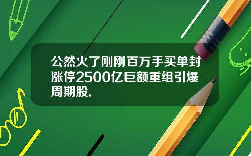 公然火了刚刚百万手买单封涨停2500亿巨额重组引爆周期股.