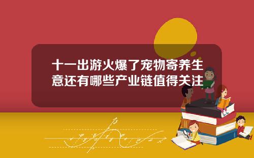 十一出游火爆了宠物寄养生意还有哪些产业链值得关注
