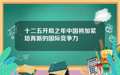 十二五开局之年中国将加紧培育新的国际竞争力
