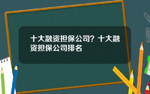 十大融资担保公司？十大融资担保公司排名