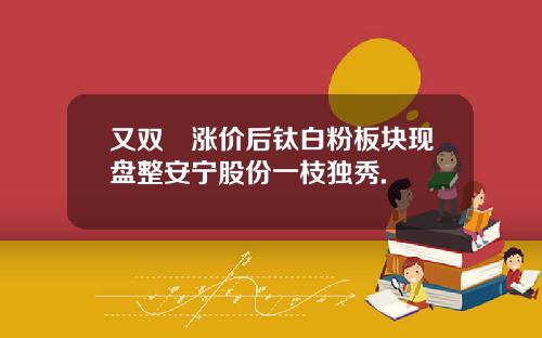 又双叒涨价后钛白粉板块现盘整安宁股份一枝独秀.