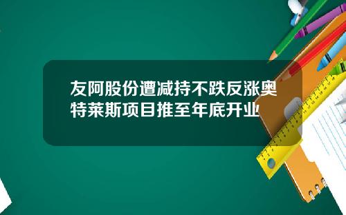 友阿股份遭减持不跌反涨奥特莱斯项目推至年底开业