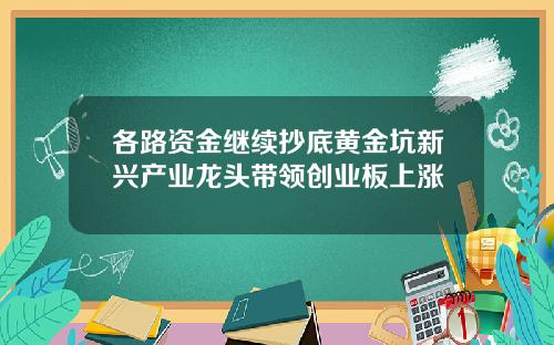 各路资金继续抄底黄金坑新兴产业龙头带领创业板上涨