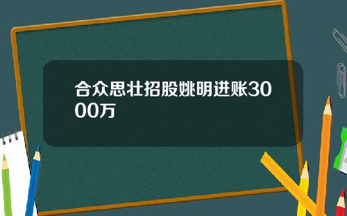 合众思壮招股姚明进账3000万