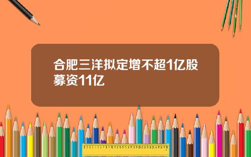 合肥三洋拟定增不超1亿股募资11亿