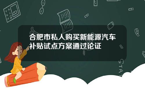 合肥市私人购买新能源汽车补贴试点方案通过论证