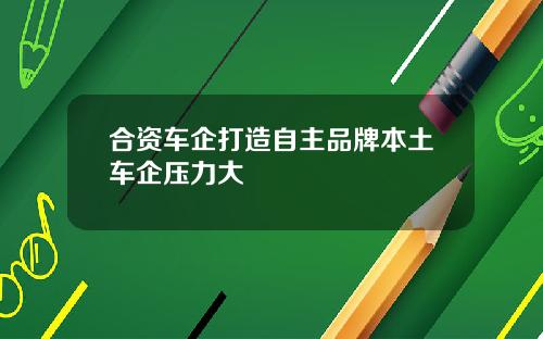 合资车企打造自主品牌本土车企压力大