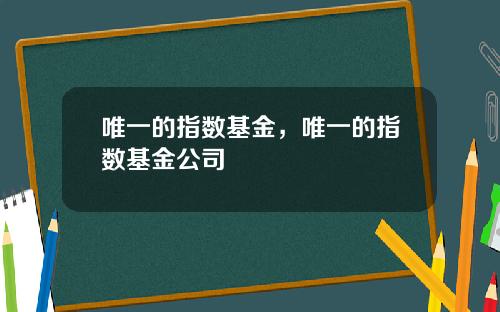 唯一的指数基金，唯一的指数基金公司