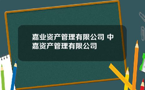 嘉业资产管理有限公司 中嘉资产管理有限公司