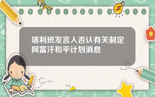 塔利班发言人否认有关制定阿富汗和平计划消息