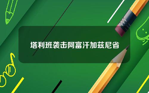 塔利班袭击阿富汗加兹尼省