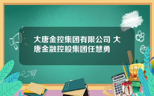 大唐金控集团有限公司 大唐金融控股集团任慧勇