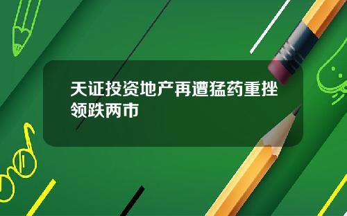 天证投资地产再遭猛药重挫领跌两市