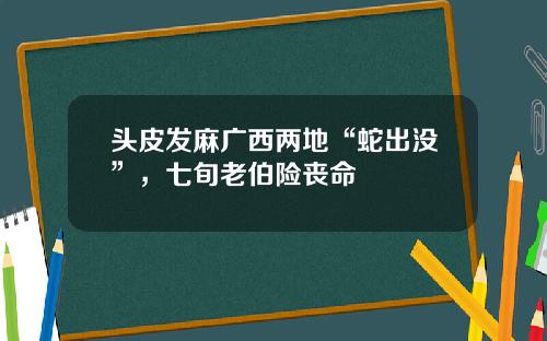 头皮发麻广西两地“蛇出没”，七旬老伯险丧命