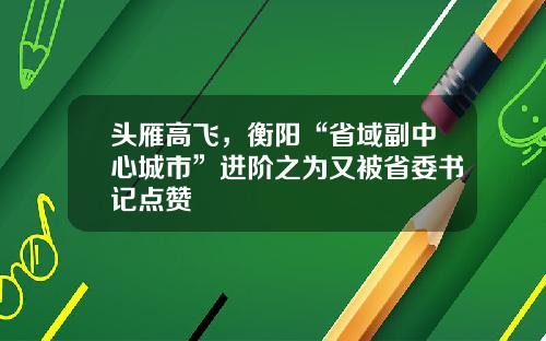 头雁高飞，衡阳“省域副中心城市”进阶之为又被省委书记点赞