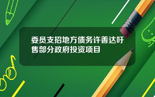 委员支招地方债务许善达吁售部分政府投资项目