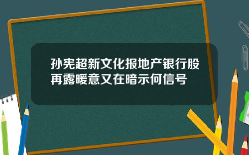 孙宪超新文化报地产银行股再露暖意又在暗示何信号