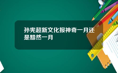 孙宪超新文化报神奇一月还是黯然一月