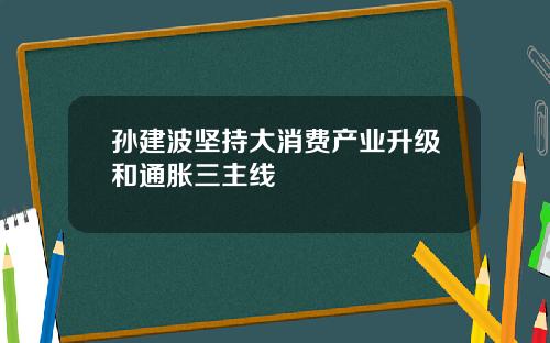 孙建波坚持大消费产业升级和通胀三主线