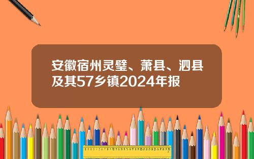 安徽宿州灵璧、萧县、泗县及其57乡镇2024年报