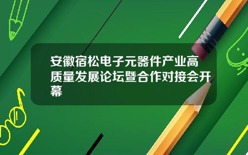 安徽宿松电子元器件产业高质量发展论坛暨合作对接会开幕