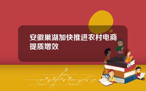 安徽巢湖加快推进农村电商提质增效