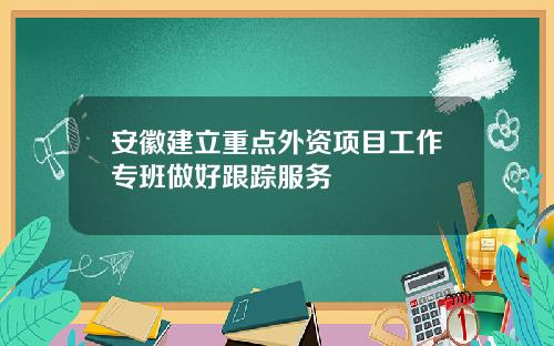 安徽建立重点外资项目工作专班做好跟踪服务