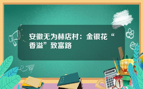 安徽无为赫店村：金银花“香溢”致富路