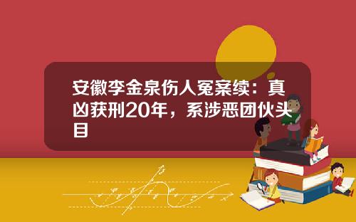 安徽李金泉伤人冤案续：真凶获刑20年，系涉恶团伙头目