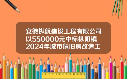 安徽枞航建设工程有限公司以550000元中标枞阳镇2024年城市危旧房改造工程