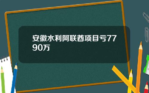 安徽水利阿联酋项目亏7790万