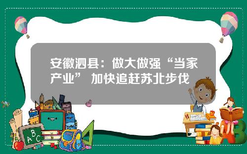 安徽泗县：做大做强“当家产业” 加快追赶苏北步伐