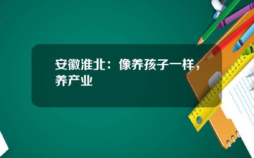 安徽淮北：像养孩子一样，养产业