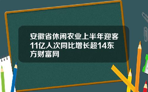 安徽省休闲农业上半年迎客11亿人次同比增长超14东方财富网