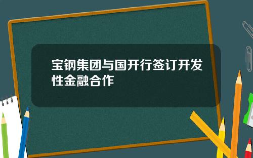 宝钢集团与国开行签订开发性金融合作