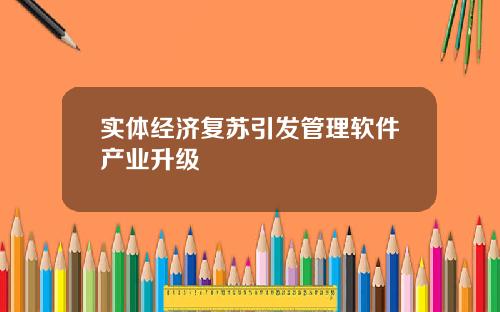 实体经济复苏引发管理软件产业升级