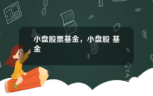 小盘股票基金，小盘股 基金