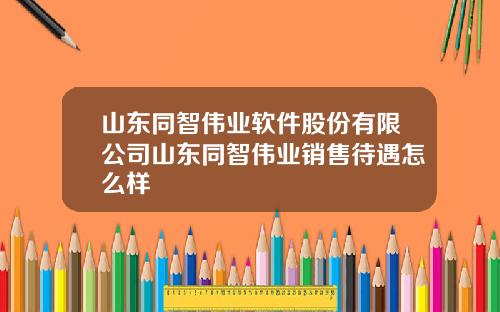 山东同智伟业软件股份有限公司山东同智伟业销售待遇怎么样