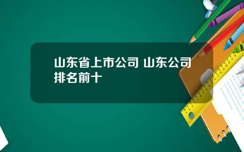 山东省上市公司 山东公司排名前十