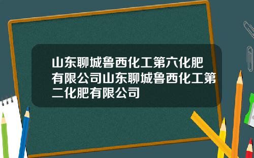 山东聊城鲁西化工第六化肥有限公司山东聊城鲁西化工第二化肥有限公司