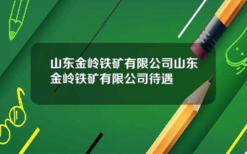 山东金岭铁矿有限公司山东金岭铁矿有限公司待遇