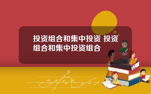 投资组合和集中投资 投资组合和集中投资组合
