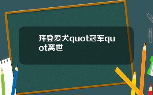 拜登爱犬quot冠军quot离世