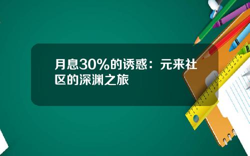 月息30%的诱惑：元来社区的深渊之旅