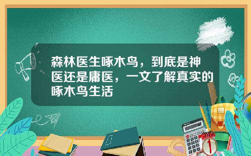 森林医生啄木鸟，到底是神医还是庸医，一文了解真实的啄木鸟生活