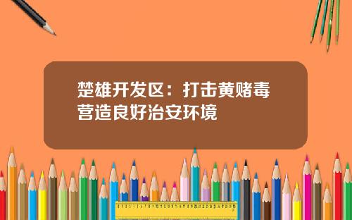 楚雄开发区：打击黄赌毒 营造良好治安环境