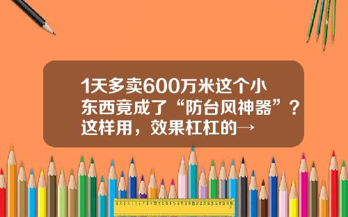 1天多卖600万米这个小东西竟成了“防台风神器”？这样用，效果杠杠的→