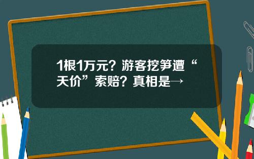 1根1万元？游客挖笋遭“天价”索赔？真相是→