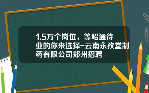 1.5万个岗位，等昭通待业的你来选择-云南永孜堂制药有限公司郑州招聘