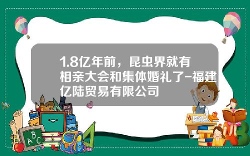 1.8亿年前，昆虫界就有相亲大会和集体婚礼了-福建亿陆贸易有限公司